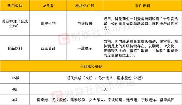 卓宝荣 获2023建材公司实力TOP500等两项大奖